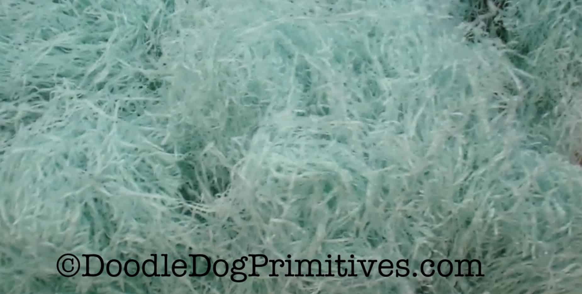 DIY Primitive Easter Grass DoodleDog Designs Primitives Diy primitive easter grass doodledog designs primitives
