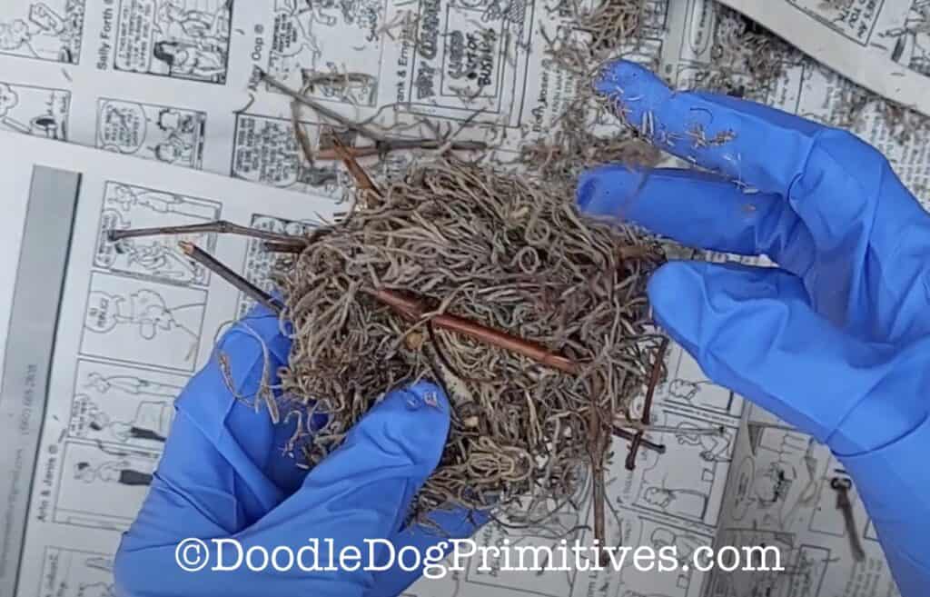 add twigs to nest