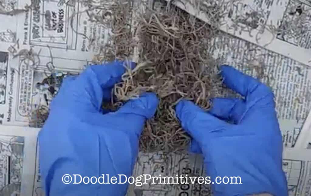 arrange spanish moss into nest size