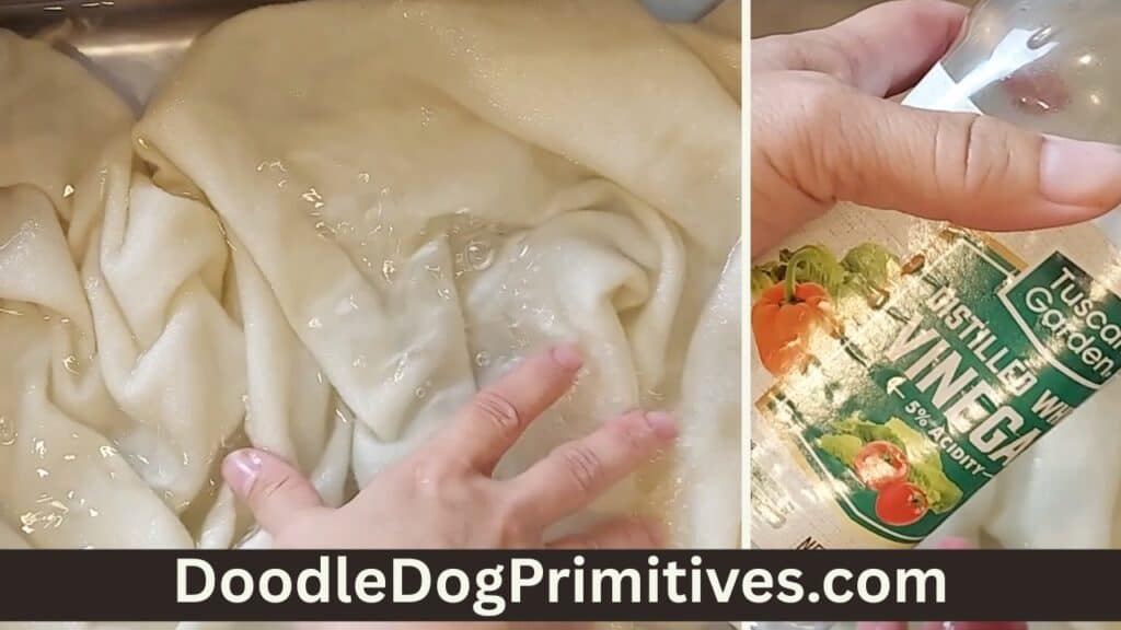 add vinegar to water